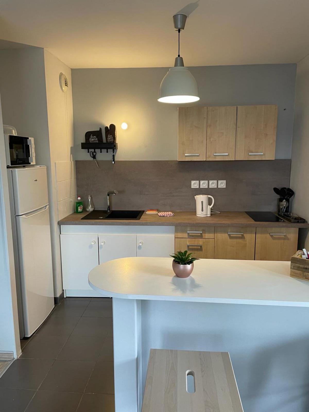 Appartement 2 Chambres Avec Terrasse Et Garage Saint-Andre-lez-Lille Экстерьер фото